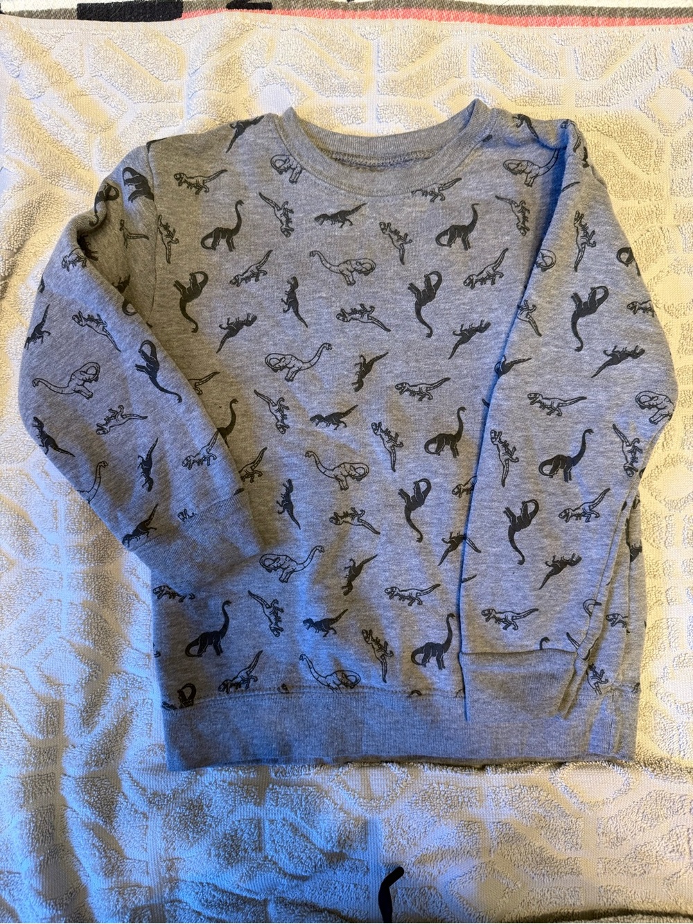 Garanimals Grey Dinosaur Sweatshirt for Kids